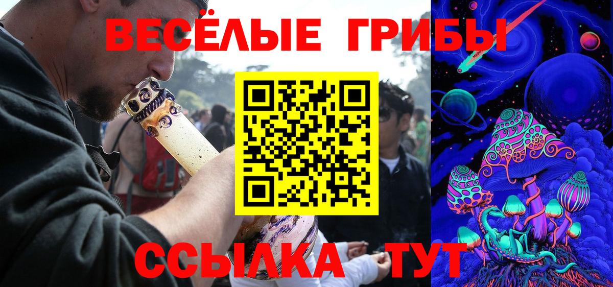 Югорск  Псилоцибиновые грибы MAGIC MUSHROOMS  что такое   Вход с VPN 
